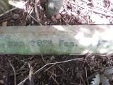 image of grave number 443887